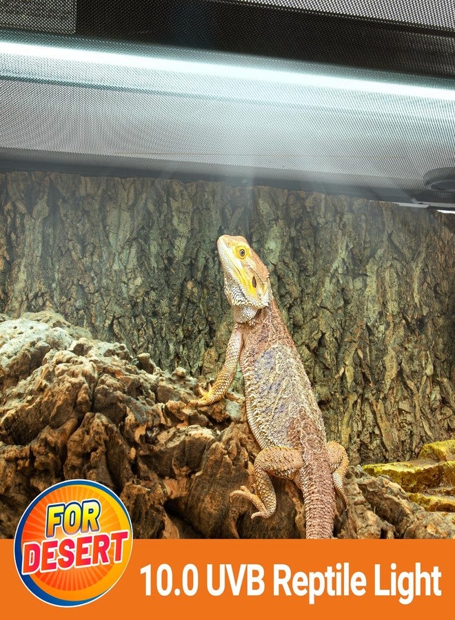 Oiibo T5 HO Reptile Light Fixture UVB Lighting Combo Kit, Terrarium Lamp Hood Light with UVB 10.0 for Bearded Dragon, Gecko, Lizard (39W) - Image 2